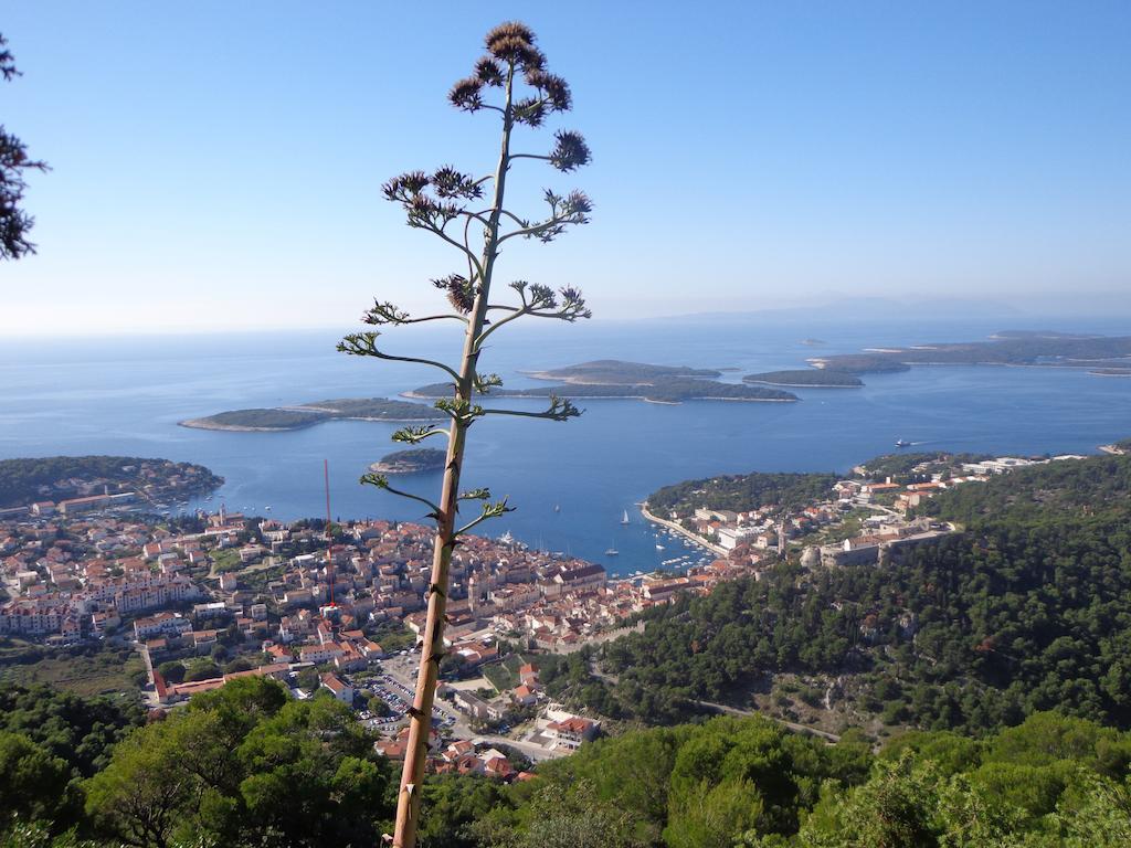 Ana Tudor Apartments Hvar Town Esterno foto