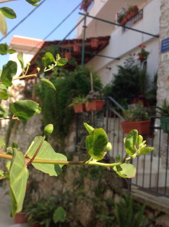 Ana Tudor Apartments Hvar Town Esterno foto
